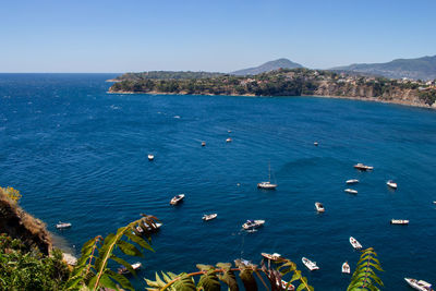 Panoramic view of beautiful procida in sunny summer day