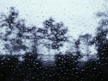 Close-up of water drops on leaf