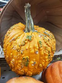 High angle view of pumpkins on table at market