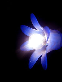 Close-up of illuminated lamp