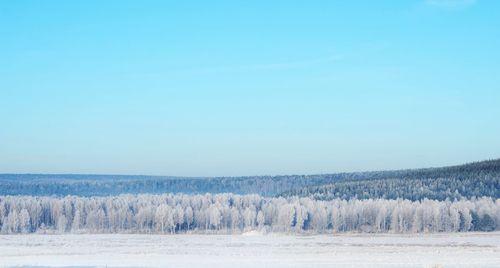 Scenic view of snow covered land against clear blue sky