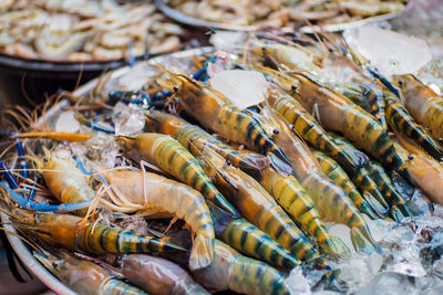 Close-up of fish in market