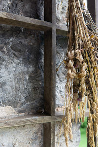 Close-up of rope tied to wooden fence