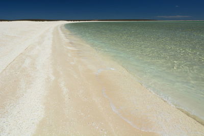 Shell beach. shark bay. denham. western australia