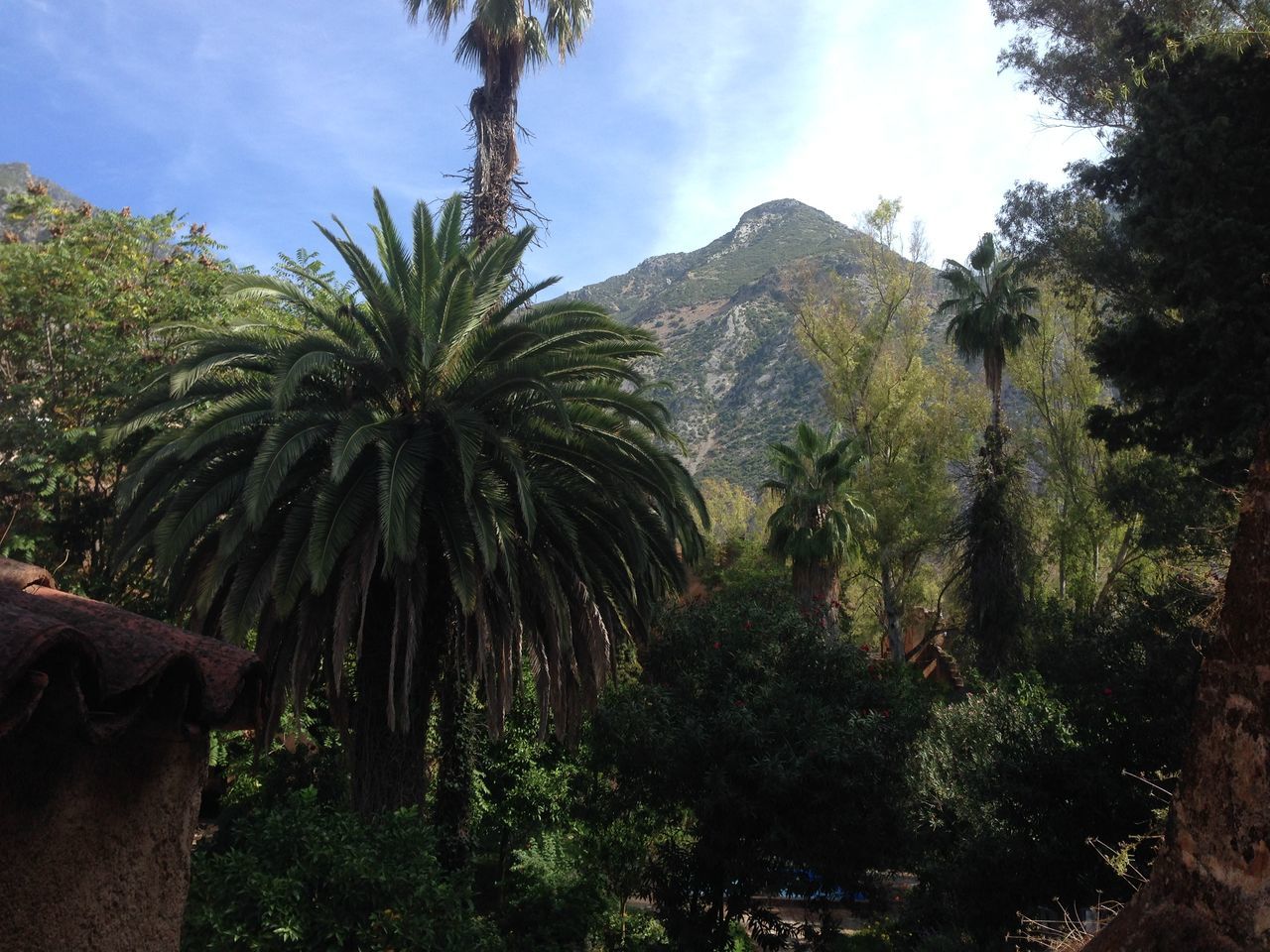 Moroccan nature