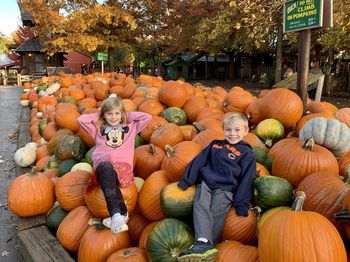 Full frame shot of pumpkins during autumn