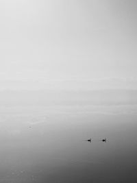 horizon