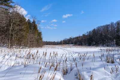 Scenic view of snow covered field against sky