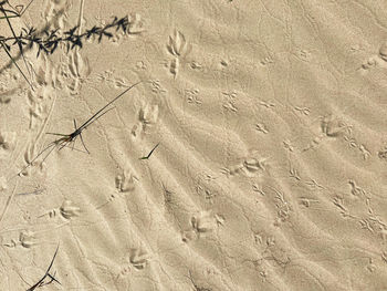 sand