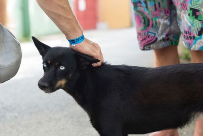 Close-up of man with dog