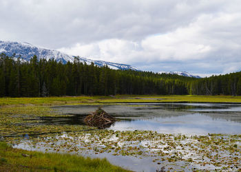 Scenic view of lake against sky