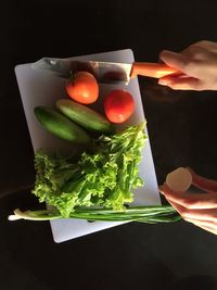 Close-up of hand holding vegetables