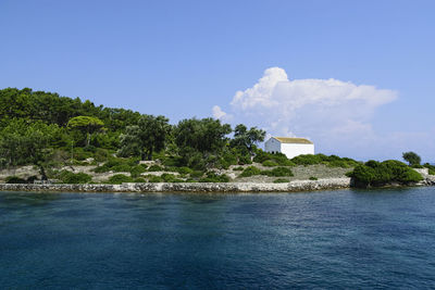 View of calm blue sea against trees