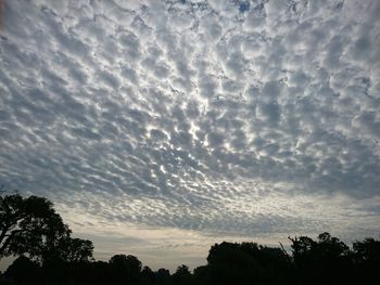 Silhouette of trees against cloudy sky