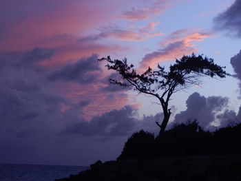 Silhouette tree by sea against sky at sunset