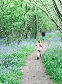 Rear view of women walking in forest