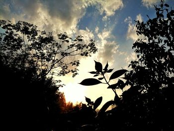 Silhouette trees against sky during sunset