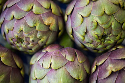 Full frame shot of vegetables