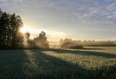 Scenic view of field against sky during sunset