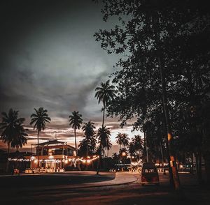 Palm trees by road against sky at night