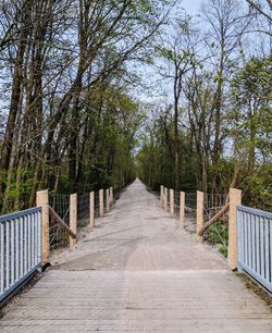 Footbridge amidst trees