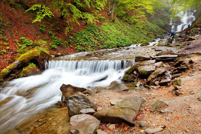 Scenic view of waterfall in forest