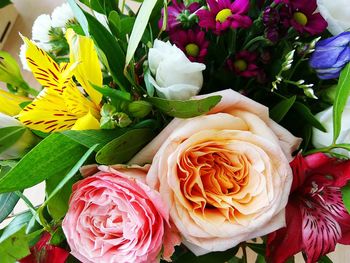 Close-up of rose bouquet