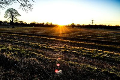 Scenic view of landscape at sunset