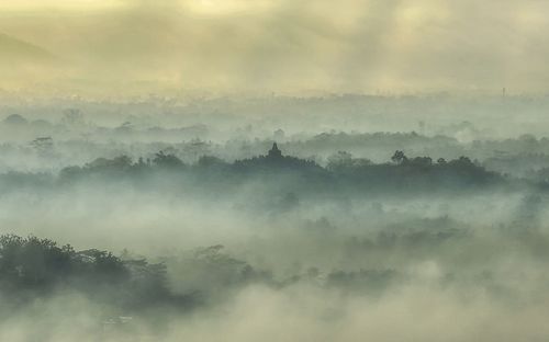 Panoramic view of trees on landscape against sky