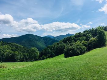 Scenic view of field against sky