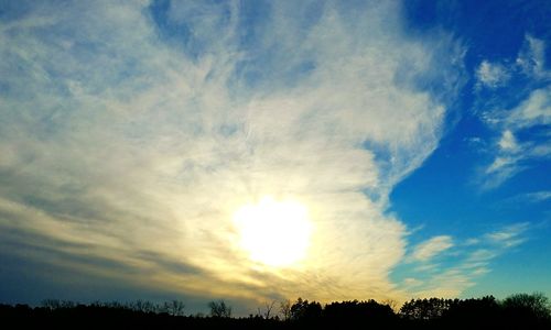 Low angle view of silhouette trees against sky