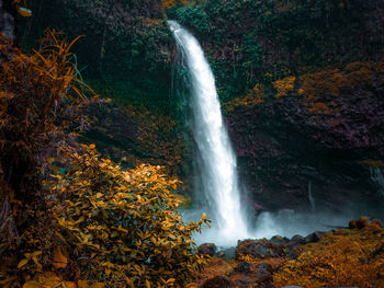 High angle view of waterfall in forest during autumn