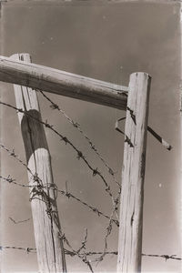 Barbed wire fence on wooden post