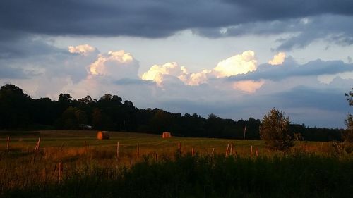 Scenic view of grassy field against cloudy sky