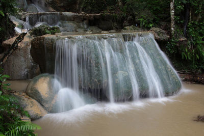 Scenic view of waterfall in forest