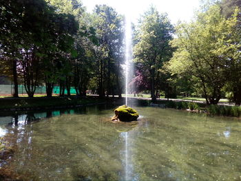 Fountain in lake against trees