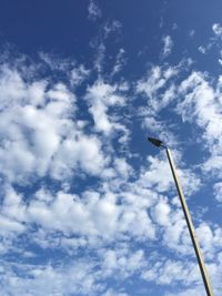 Low angle view of crane against sky