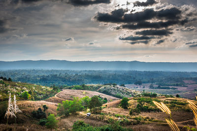 Scenic view of landscape against sky