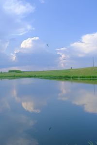 Birds flying over lake against sky