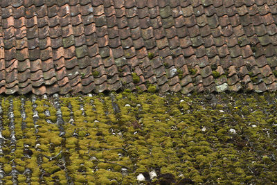 Full frame shot of stone wall