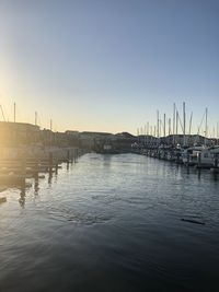 Sailboats in marina at harbor against clear sky