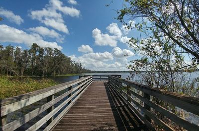 Footbridge amidst trees against sky