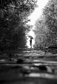 Rear view of man walking on street amidst trees