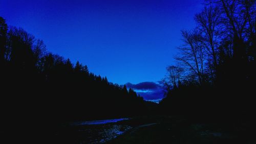 Silhouette trees against blue sky at night