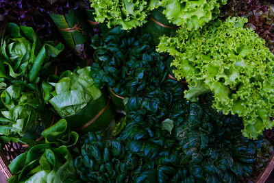Full frame shot of vegetables and salad leaves