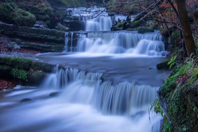 Scenic view of waterfall in forest