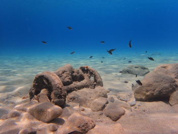 Rocks on shore