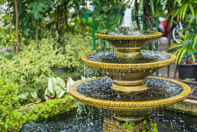 Water fountain in garden