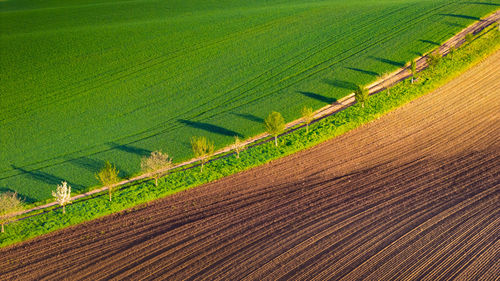 High angle view of agricultural field