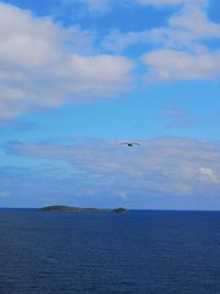 Seagull flying over sea against sky